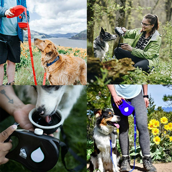 Une bouteille d'eau saine, un bol pour désaltérer votre chien à tout moment