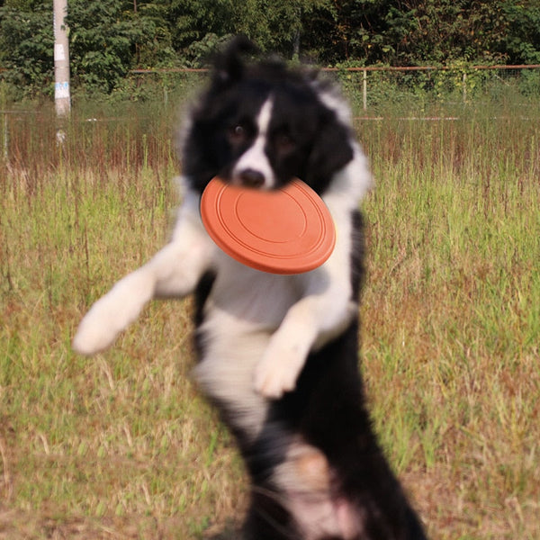 FlyingDisc™ disque volant pour animal de compagnie | Chien - toutou heureux