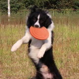 FlyingDisc™ disque volant pour animal de compagnie | Chien - toutou heureux