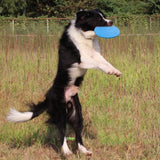 FlyingDisc™ disque volant pour animal de compagnie | Chien - toutou heureux