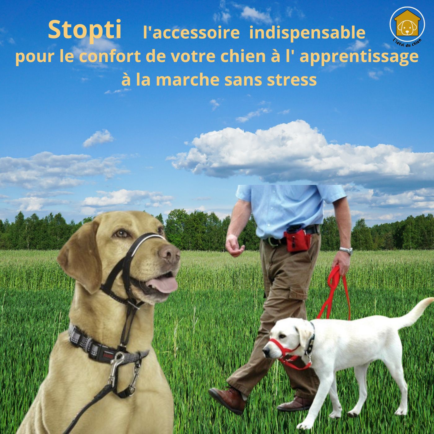 collier dressage chien Licol muselière anti traction Stopti ™