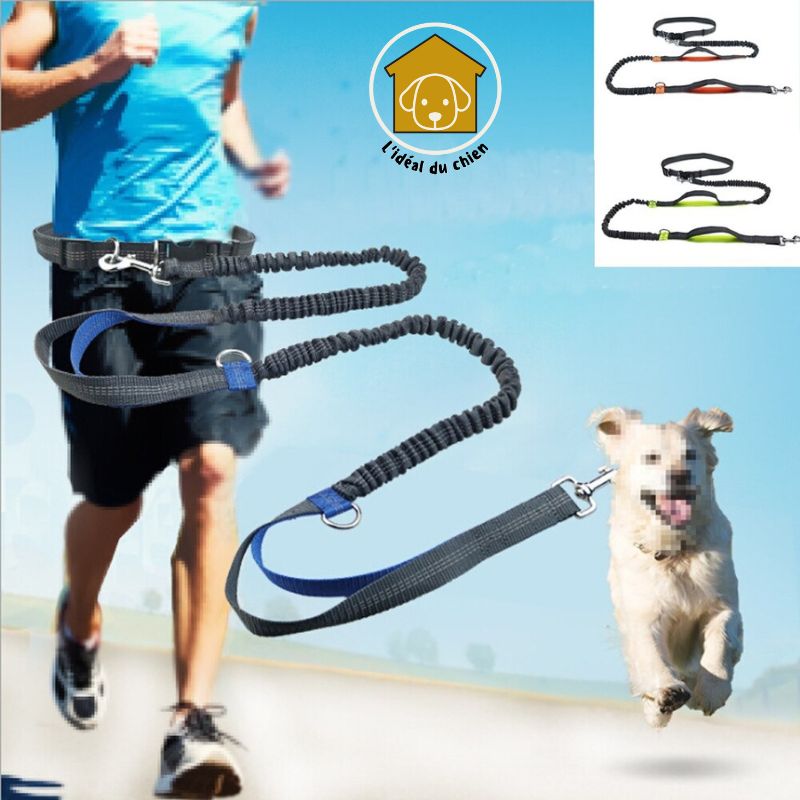 Laisse pour chien mains libres à deux poignées, RunLeash™  canicross, canirando, canivtt, canimarche