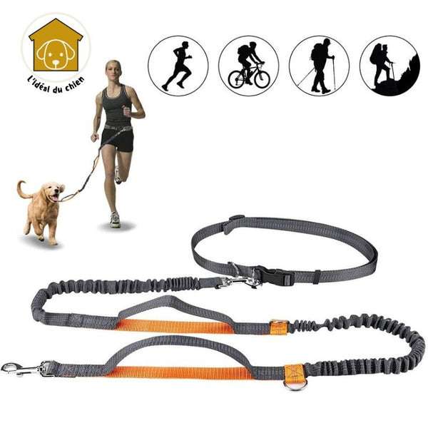 Laisse pour chien mains libres à deux poignées, RunLeash™  canicross, canirando, canivtt, canimarche