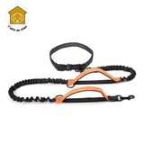 Laisse pour chien mains libres à deux poignées, RunLeash™  canicross, canirando, canivtt, canimarche