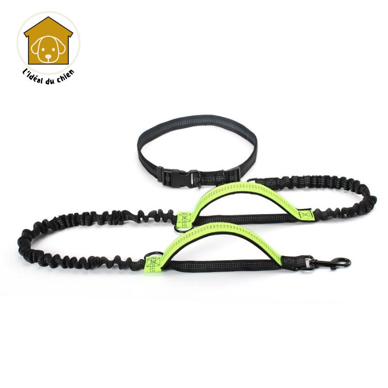 Laisse pour chien mains libres à deux poignées, RunLeash™  canicross, canirando, canivtt, canimarche