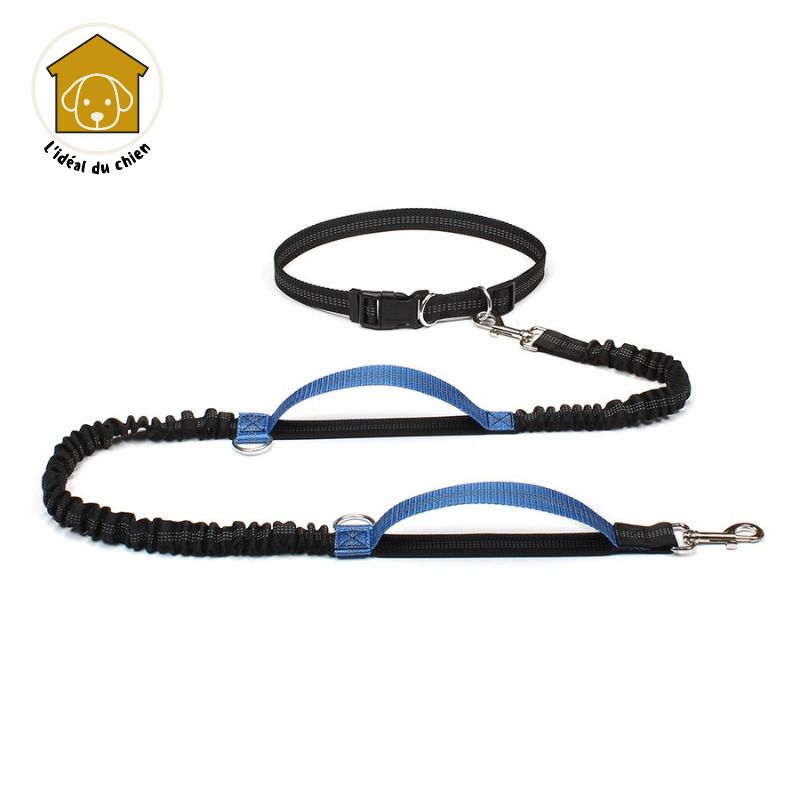 Laisse pour chien mains libres à deux poignées, RunLeash™  canicross, canirando, canivtt, canimarche