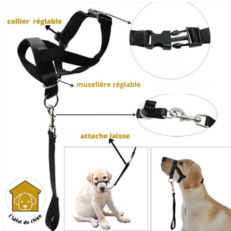 collier dressage chien Licol muselière anti traction Stopti ™