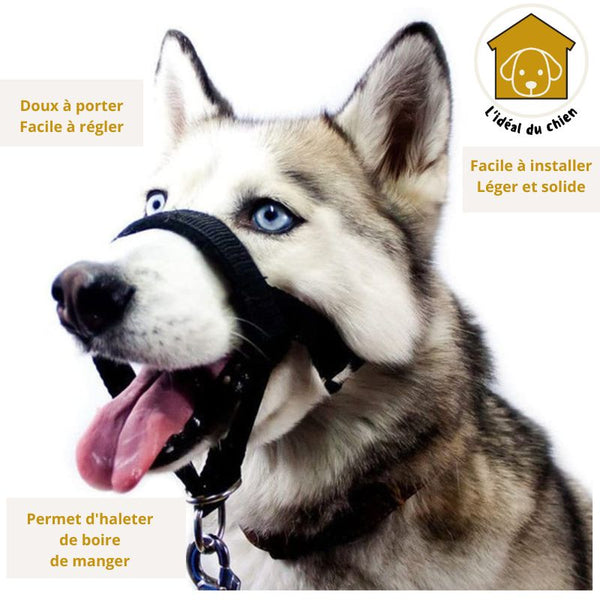 collier dressage chien Licol muselière anti traction Stopti ™