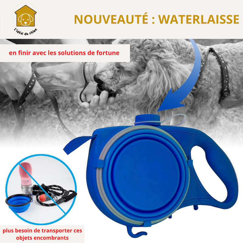 L'accessoire idéal pour la ballade de votre chien